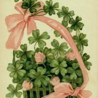 Basket of Shamrocks 18 x 16