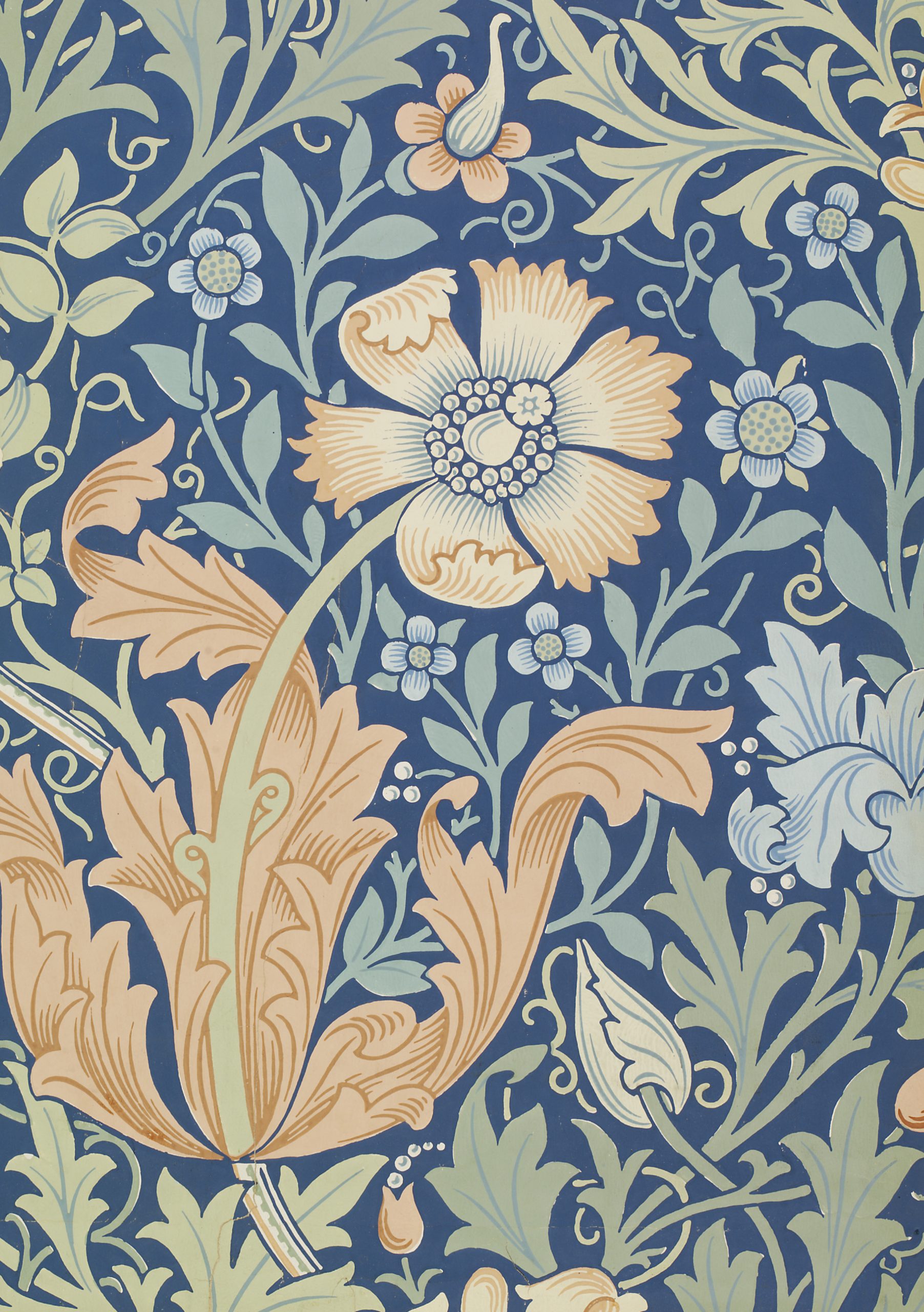 Compton from the William Morris Collection, 28 x 20