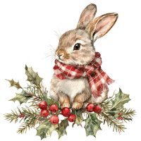 Tartan Bunny 20 x 18